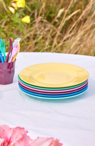 Set of 6 Melamine Dinner Plates Called Show Your Colors By Rice