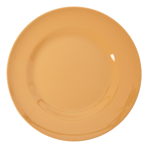 Dusty Peach Melamine Dinner Plate By Rice - Vibrant Home