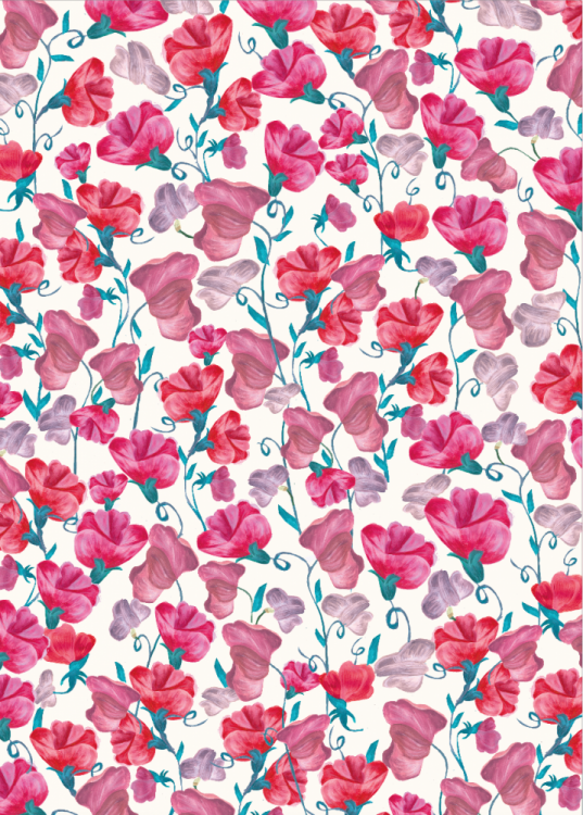 Download Sweet Pea Pink Floral Print Wrapping Paper By Caroline ...